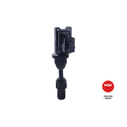 Ritė, uždegimas NGK 48323