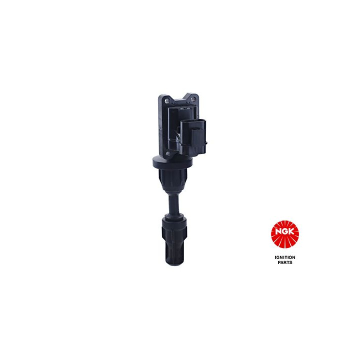 Ritė, uždegimas NGK 48323