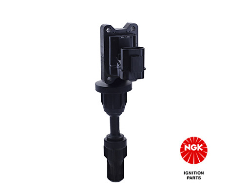 Ritė, uždegimas NGK 48323