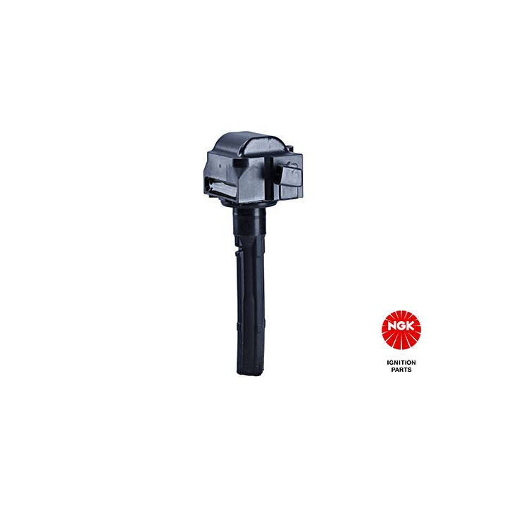 Ritė, uždegimas NGK 48326