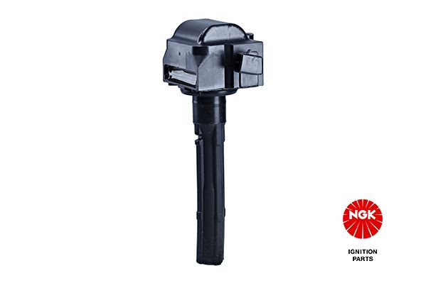 Ritė, uždegimas NGK 48326