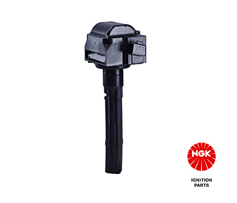 Ritė, uždegimas NGK 48326