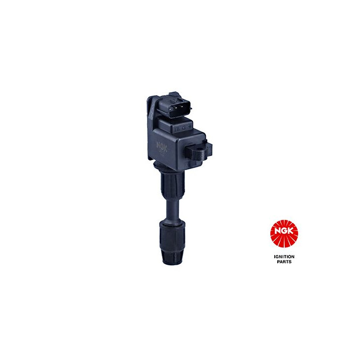 Ritė, uždegimas NGK 48327