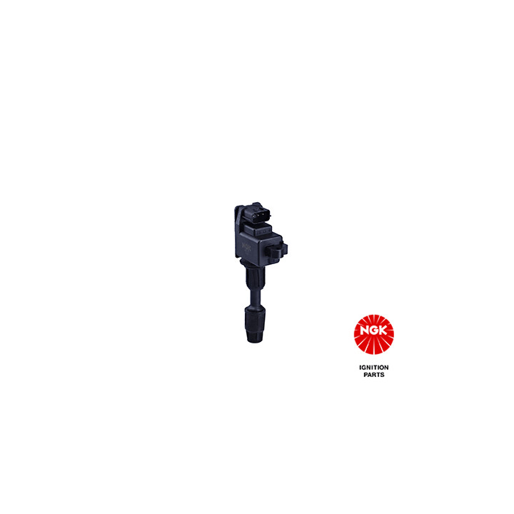 Ritė, uždegimas NGK 48327