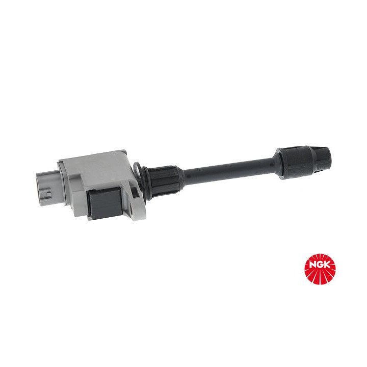 Ritė, uždegimas NGK 48328