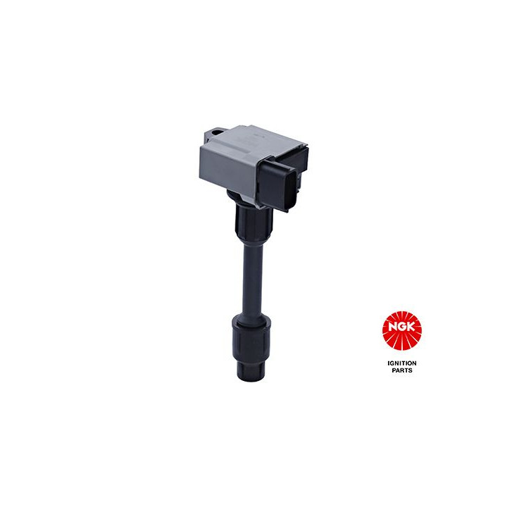 Ritė, uždegimas NGK 48329