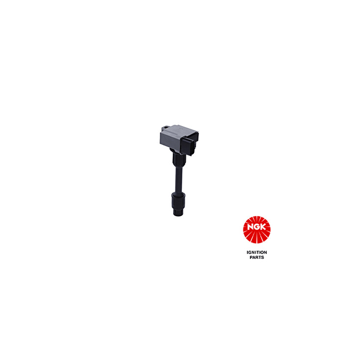 Ritė, uždegimas NGK 48329