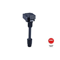 Ritė, uždegimas NGK 48330