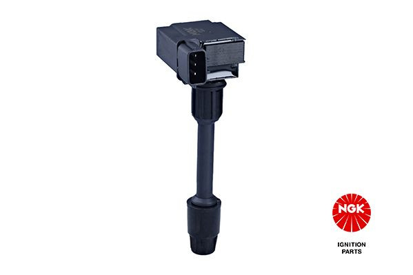 Ritė, uždegimas NGK 48330