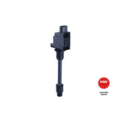 Ritė, uždegimas NGK 48331