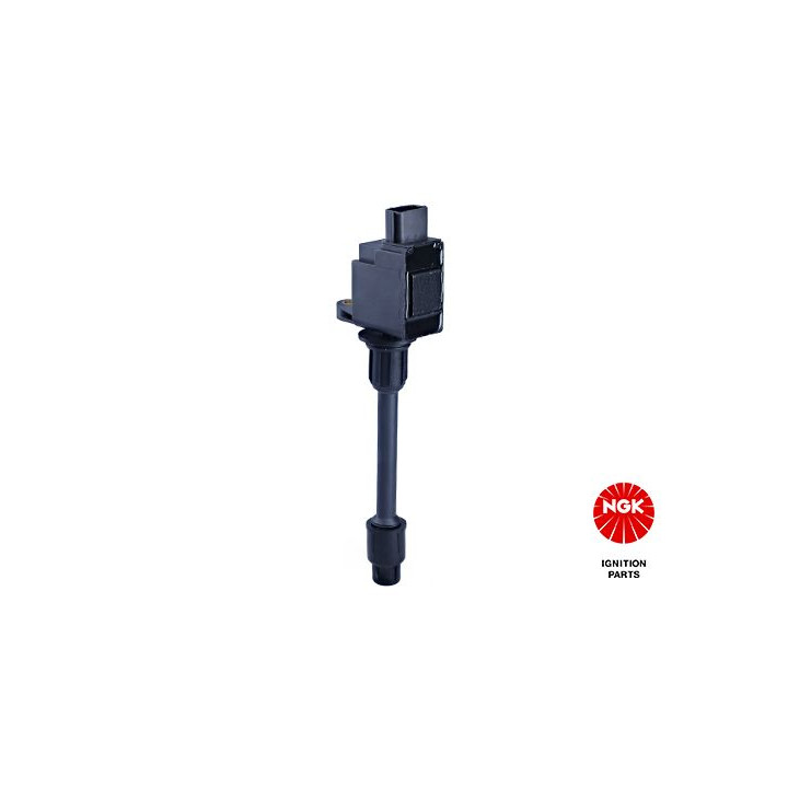 Ritė, uždegimas NGK 48331