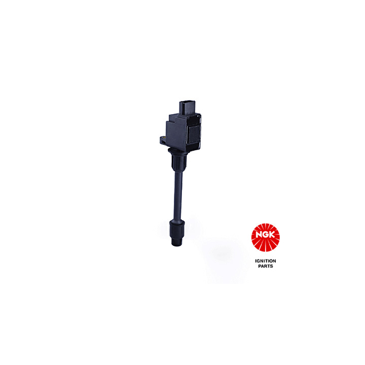 Ritė, uždegimas NGK 48331