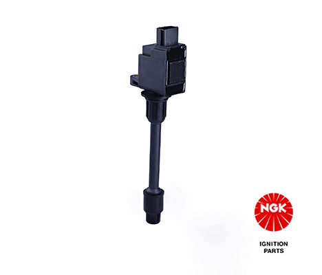 Ritė, uždegimas NGK 48331