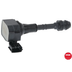 Ritė, uždegimas NGK 48332