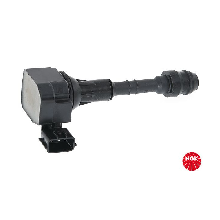 Ritė, uždegimas NGK 48332