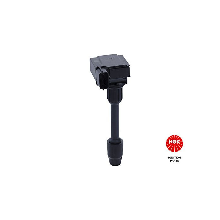 Ritė, uždegimas NGK 48333