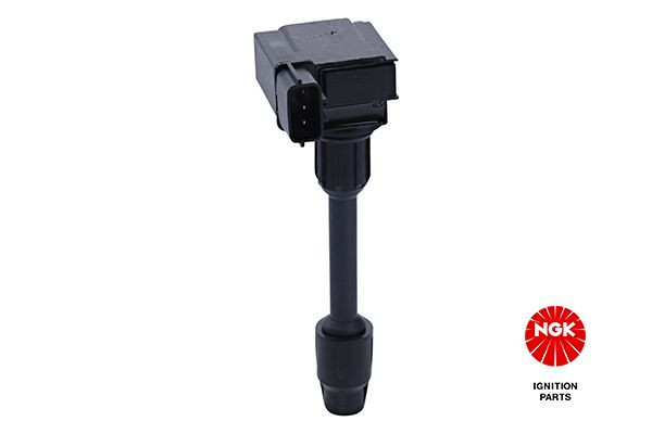 Ritė, uždegimas NGK 48333