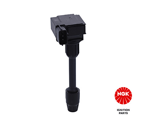 Ritė, uždegimas NGK 48333