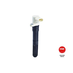 Ritė, uždegimas NGK 48335