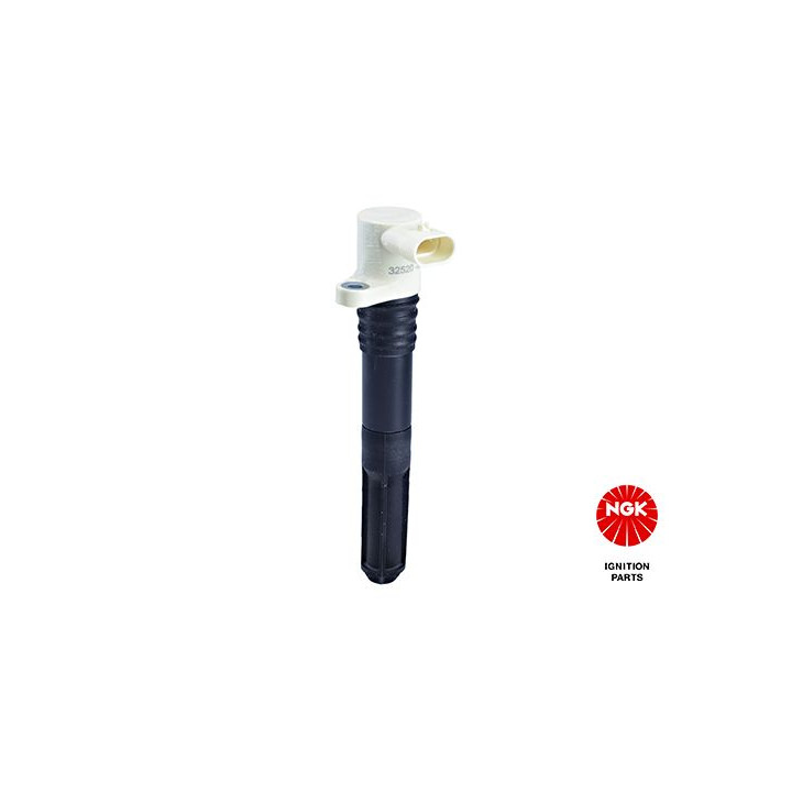 Ritė, uždegimas NGK 48335