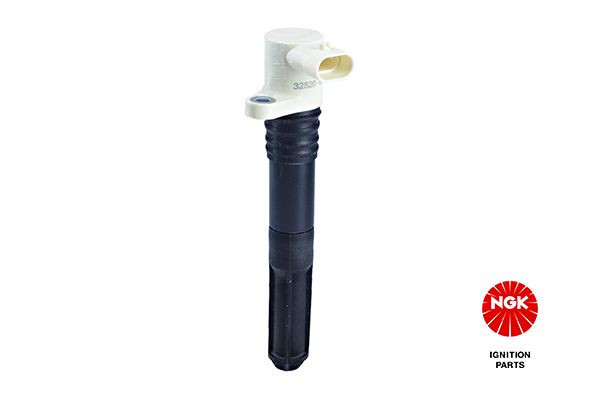 Ritė, uždegimas NGK 48335