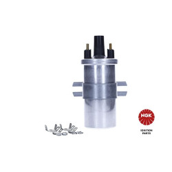 Ritė, uždegimas NGK 48339