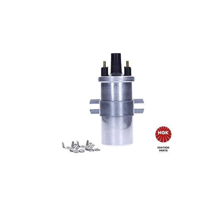 Ritė, uždegimas NGK 48339