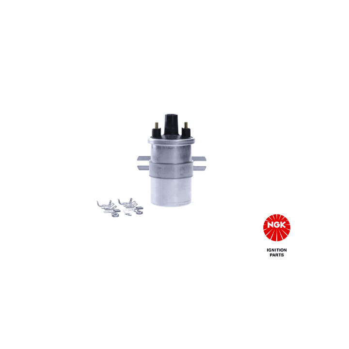 Ritė, uždegimas NGK 48339