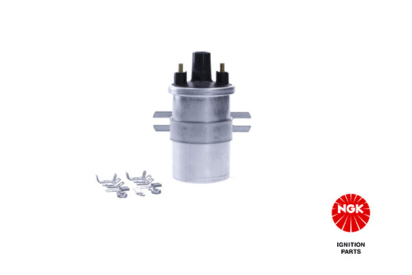 Ritė, uždegimas NGK 48339