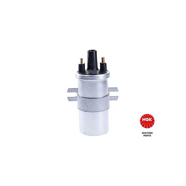 Ritė, uždegimas NGK 48340