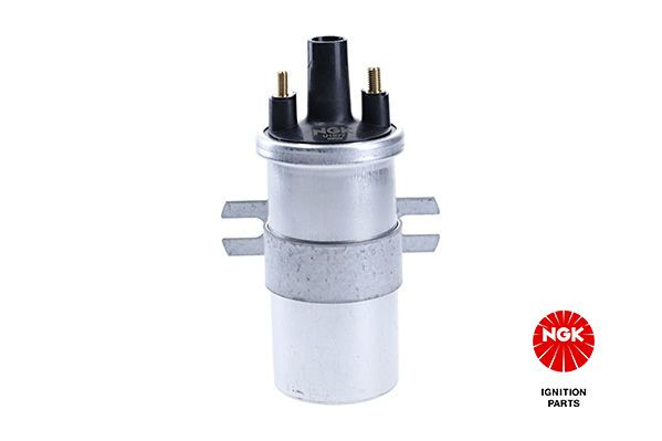 Ritė, uždegimas NGK 48340