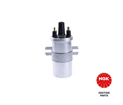 Ritė, uždegimas NGK 48340