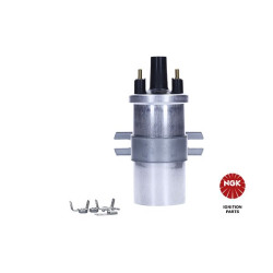 Ritė, uždegimas NGK 48342