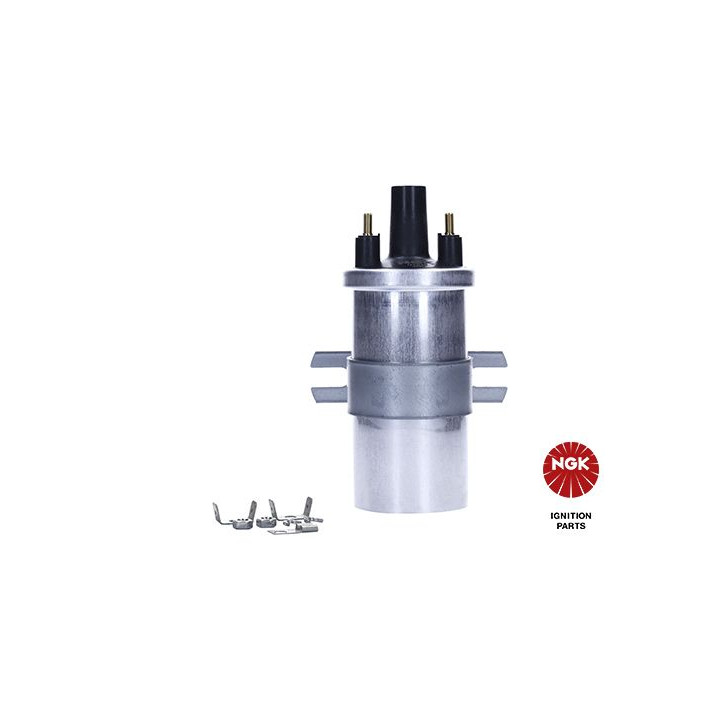 Ritė, uždegimas NGK 48342