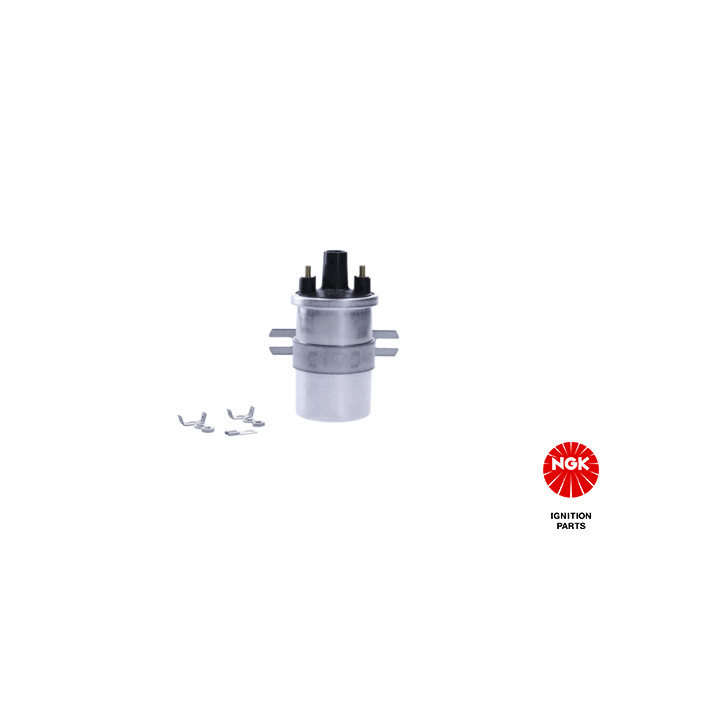 Ritė, uždegimas NGK 48342