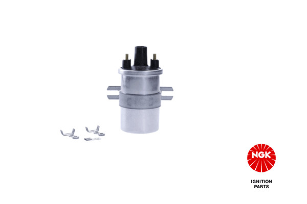 Ritė, uždegimas NGK 48342