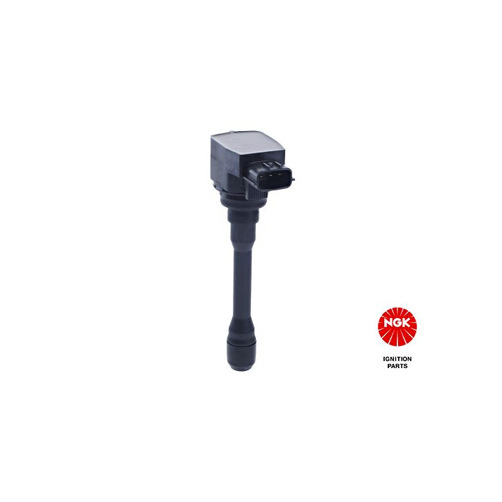 Ritė, uždegimas NGK 48347