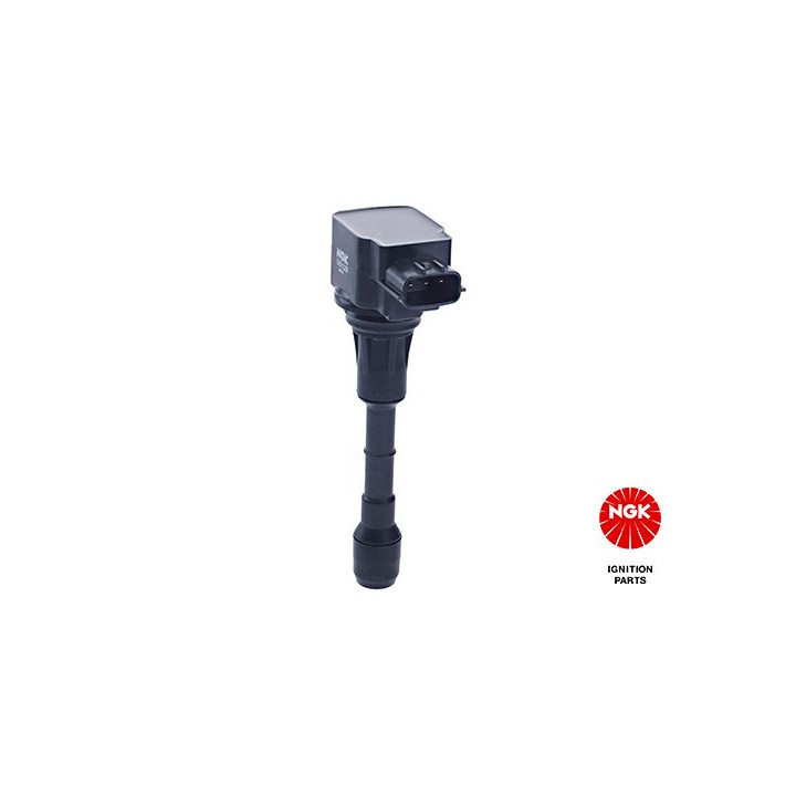 Ritė, uždegimas NGK 48348