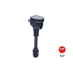 Ritė, uždegimas NGK 48350