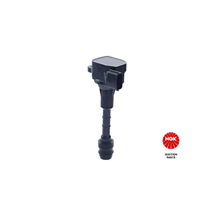 Ritė, uždegimas NGK 48350