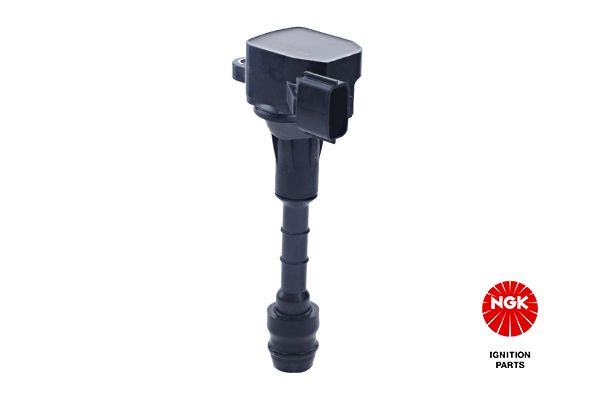 Ritė, uždegimas NGK 48350