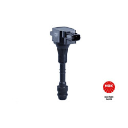 Ritė, uždegimas NGK 48351