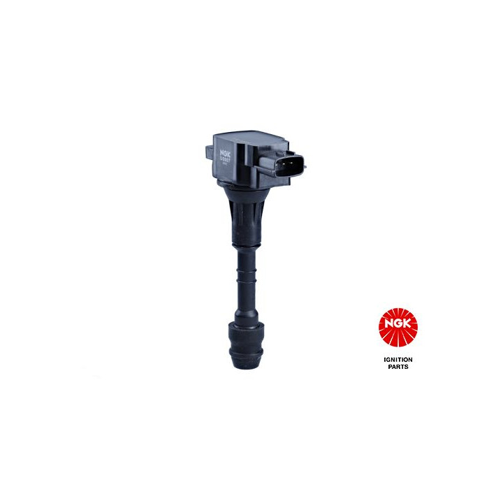 Ritė, uždegimas NGK 48351