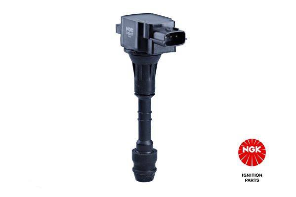 Ritė, uždegimas NGK 48351