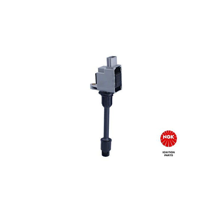 Ritė, uždegimas NGK 48355