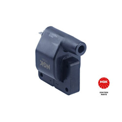 Ritė, uždegimas NGK 48357