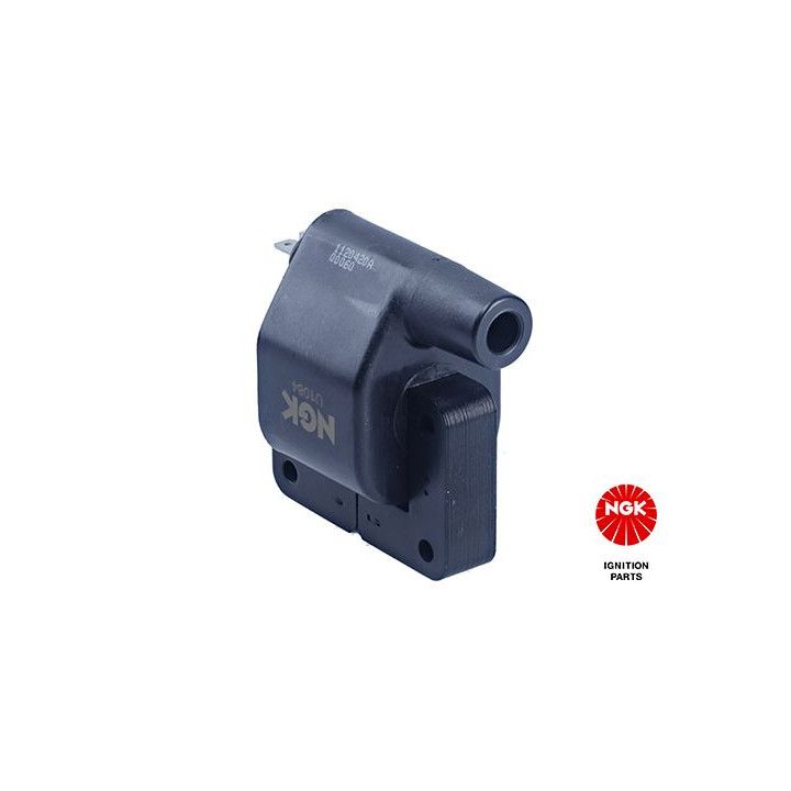 Ritė, uždegimas NGK 48357