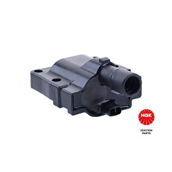 Ritė, uždegimas NGK 48363