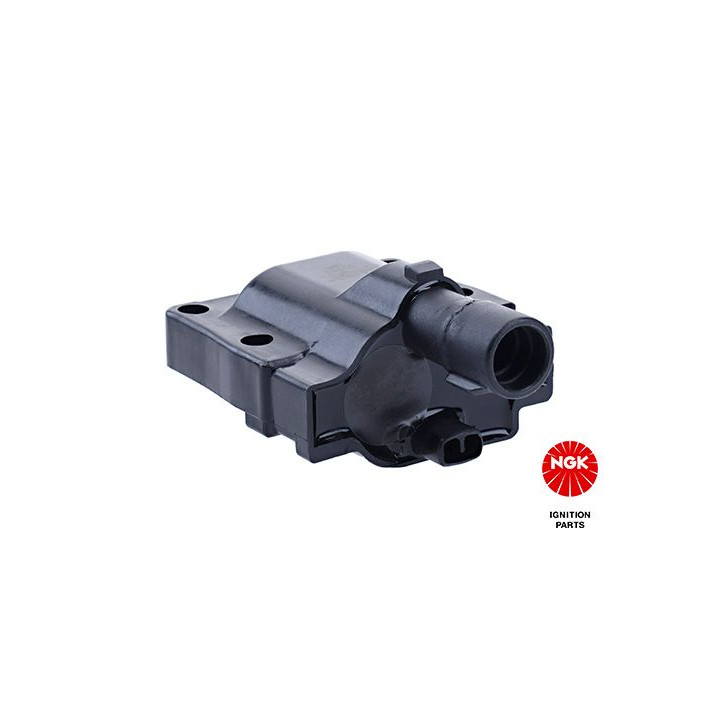 Ritė, uždegimas NGK 48363