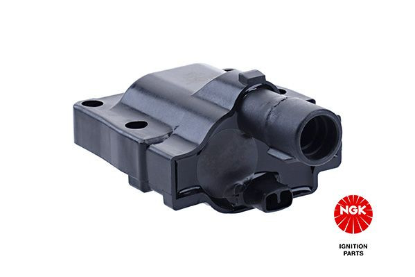 Ritė, uždegimas NGK 48363